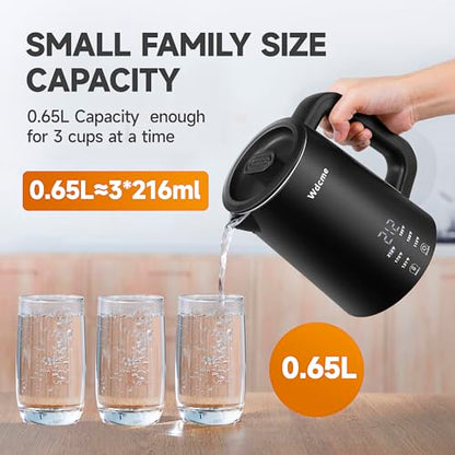 0.6L Small Travel Electric Kettle Portable Smart Tea Coffee Kettle | 800W Rapid Boil,6 Temperature Control,304 Stainless Steel,Dual Voltage 110-240V,12H Keep Warm, Mini Hot Water Boiler