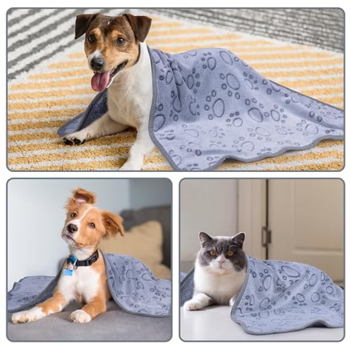 Dono 1 Pack 3 Dog Blankets, Soft Fluffy Fleece Pet Blanket Warm Sleep Mat Paw Print Design Puppy Kitten Throw Blankets Doggy Blanket for Dogs - color: Grey Bone, size: Medium(30*20")