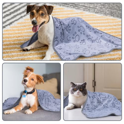 Dono 1 Pack 3 Dog Blankets, Soft Fluffy Fleece Pet Blanket Warm Sleep Mat Paw Print Design Puppy Kitten Throw Blankets Doggy Blanket for Dogs - color: Grey Bone, size: Large(41*31")