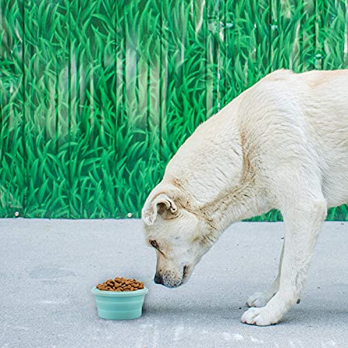 Luter 2 Pieces Collapsible Dog Bowls Silicone Food Water Travel Foldable Bowl with Lids Portable Expandable Pet Feeding Watering Cup Dish for Walking Kennels Camping 350ml (12x12x3cm) (Pink & Blue) - color: Pink & Blue