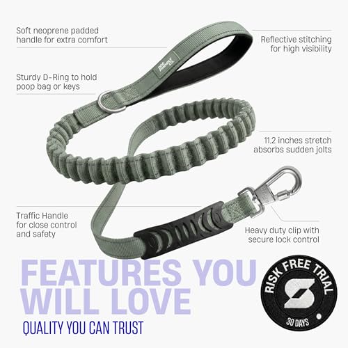 Dog Friendly Co. Bungee Dog Leash | Strain Free & Shock Resistant for Control | Neoprene Padded Handle, Heavy-Duty Carabiner Clip, and D-Ring | Khaki, Size Regular - color: Khaki, size: Regular