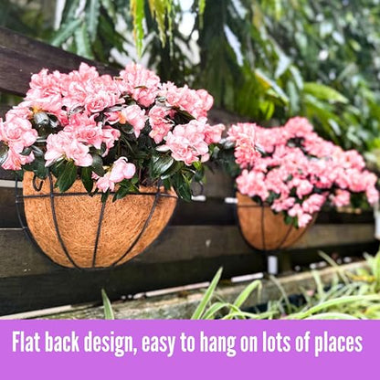 ShopLaLa Wall Planters Outdoor Plants (10 Pack, 10 Inch) Balcony Planters Railing Hanging Fence Planter Over Railing Planters Coco Liner, Wall Mounted Flower Basket Metal Wire Deck Porch Patio Garden - size: 10" (25cm) x 10 Pack