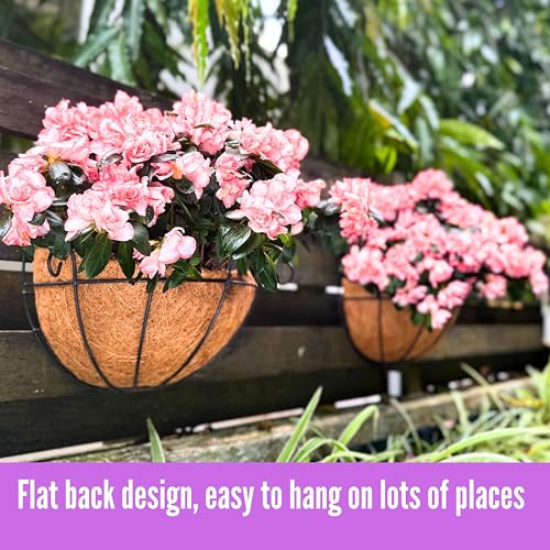 Shoplala Wall Planters Outdoor Plants (10 Inch, 6 Pack) Balcony Planters Railing Hanging Fence Planter Over Railing with Coco Liner, Wall Mounted Flower Basket Black Metal Wire Deck Porch Patio Garden - size: 10" (25cm) x 6 Pack