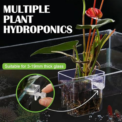 12 Pack Top Hanging Fish Tank Plant Pot Clear Aquarium Plant Holder with Hook Aquatic Plant Cup Holder Aquarium Aquatic P-lant Pot Water Landscape Decoration for P-lant Water Feature Decoration