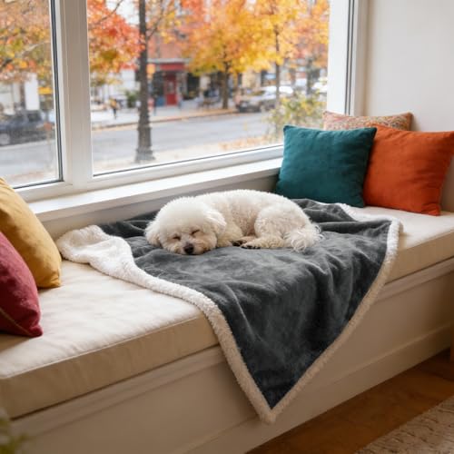 Kritter Planet Dog Blankets for Small Dogs, Soft Puppy Blanket, Pet Blankets for Cats, Lightweight & Washable, Perfect for Dog Beds, Car Seats, Creat, 30x40 inches - color: Grey