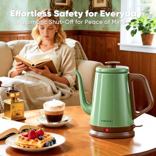 DmofwHi Gooseneck Electric Kettle(1.0L), 100% Stainless Steel BPA Free Classic Pour Over Coffee Kettle | Tea Kettle - Green - color: Green