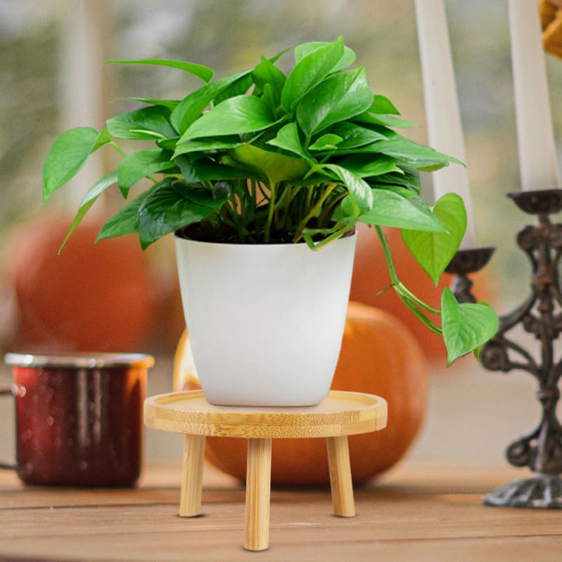 DOITOOL 5 Inch Small Indoor Plant Stand for Flower Pots Round Wooden Plant Stool Pedestal Succulent Holder Display Riser for Tabletops Living Rooms Bonsai and Home Decor