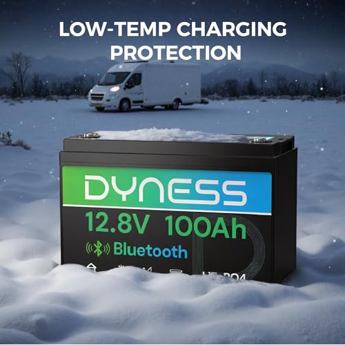 12V 100Ah Bluetooth LiFePO4 Battery(2 pack), Deep Cycle Group 31 Lithium RV Batteries Built-in 100A BMS with Low-Temp Protection, 12.8 Volt Lithium Battery for Rv Camping, Home Solar System, Off-Grid - style: 12v 100Ah Bluetooth(2 Pack)