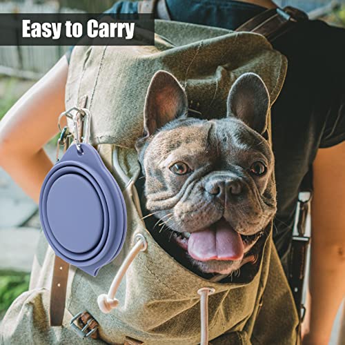 SLSON Collapsible Dog Bowls,Integrated Molding Dog Double Bowl No Plastic Rim 2 in 1 Foldable Pet Food & Water Bowl Cat Feeder Dish for Walking,Hiking,Camping (Taro Purple) - color: Taro Purple