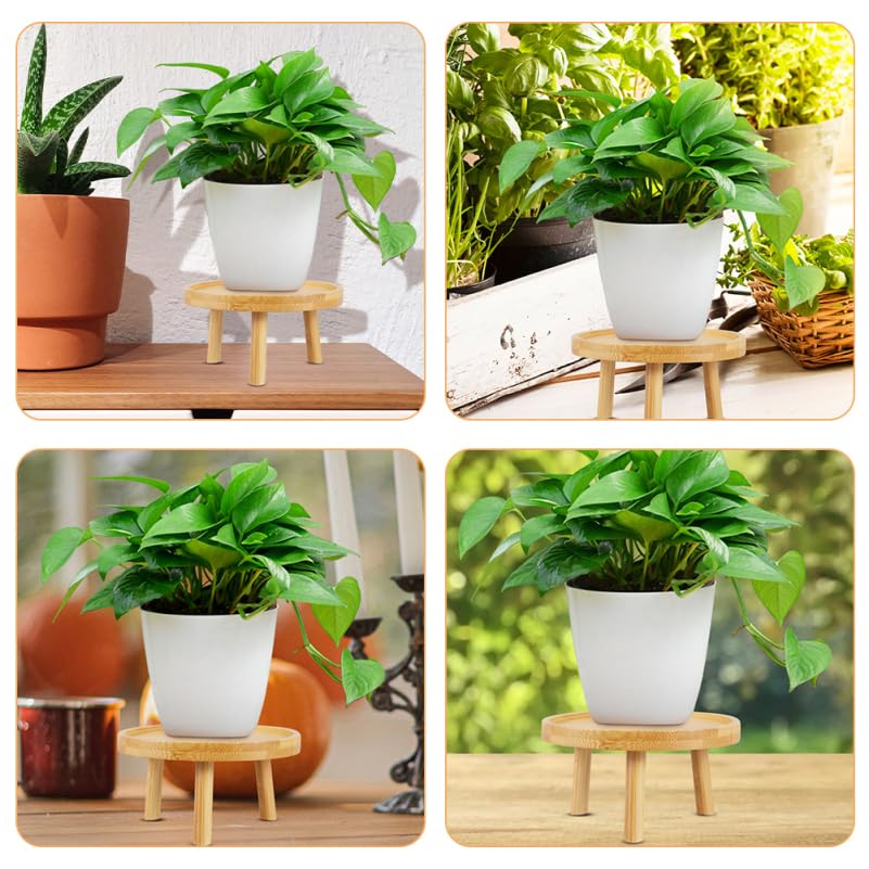 DOITOOL 5 Inch Small Indoor Plant Stand for Flower Pots Round Wooden Plant Stool Pedestal Succulent Holder Display Riser for Tabletops Living Rooms Bonsai and Home Decor