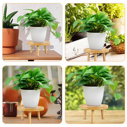 DOITOOL 5 Inch Small Indoor Plant Stand for Flower Pots Round Wooden Plant Stool Pedestal Succulent Holder Display Riser for Tabletops Living Rooms Bonsai and Home Decor