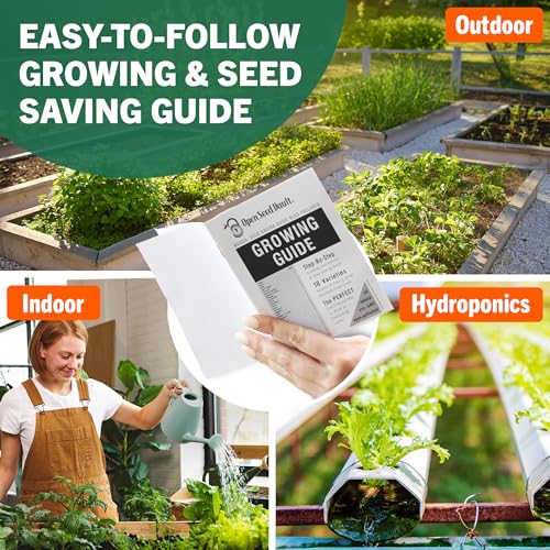 Vegetable & Fruit Seeds | 32 Individual Packs | 2026 Season | Non-GMO, High Yield - 15,000+ Seeds | Tomato, Cucumber, Zucchini, Bell Pepper and More | for Indoor & Outdoor Garden Planting