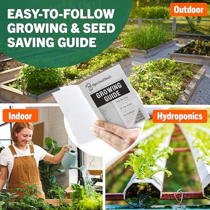 Vegetable & Fruit Seeds | 32 Individual Packs | 2026 Season | Non-GMO, High Yield - 15,000+ Seeds | Tomato, Cucumber, Zucchini, Bell Pepper and More | for Indoor & Outdoor Garden Planting