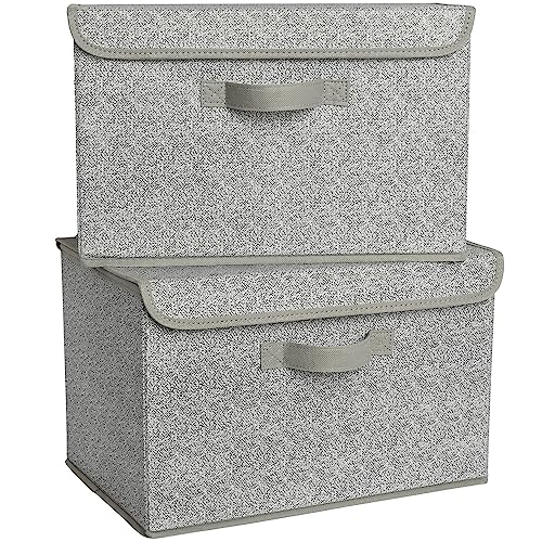GRANNY SAYS Storage Baskets with Lids, Clothes Storage Boxes, Fabric Storage Bins, Keepsake Box, Closet Organizers and Storage, Gray, 2-Pack - color: Ash Gray, size: Large-2 Pack