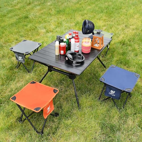 Opliy Camping Stool 2 Pack,13.5 Inch Portable Folding Stool for Outdoor Gardening and Beach Hiking Fishing,Foot Stool with Carry Bag (Gray) - color: Grey