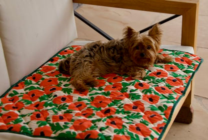 Waterproof Blanket, 29" x 34” - Seat Cover for Dogs and Pets. Ideal for Small and Medium Pet Crate Blankets, Settle mat, Diaper Changing and Playmat for Babies - color: Red and Green