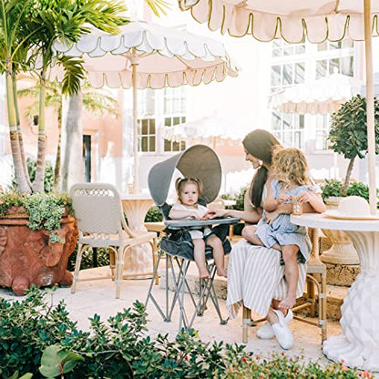 Baby Delight Go with Me Uplift Deluxe Portable High Chair | Sun Canopy | Indoor and Outdoor | Grey - color: Grey