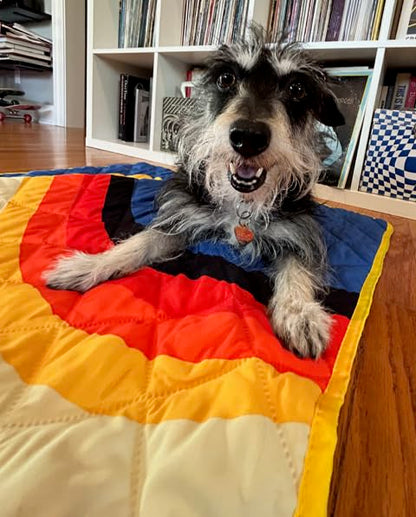 Waterproof Blanket, 29" x 34” - Seat Cover for Dogs and Pets. Ideal for Small and Medium Pet Crate Blankets, Settle mat, Diaper Changing and Playmat for Babies - color: Blue and Yellow