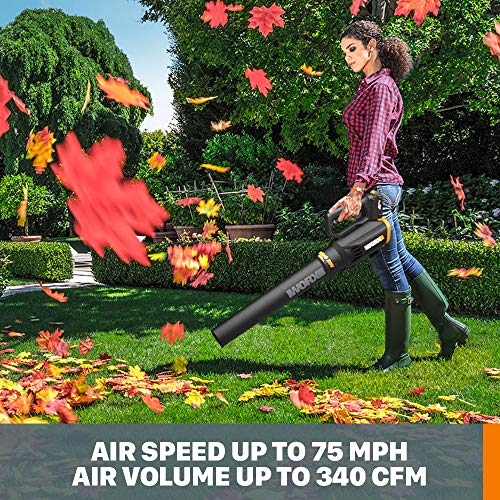 WORX 20V 12" Cordless String Trimmer & 360 CFM Leaf Blower Combo, 2 Batteries & Charger Included, WG928 - style: 12" Trimmer & 360 CFM Blower
